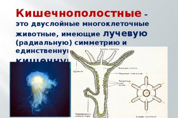 Кракен 2krnk cc